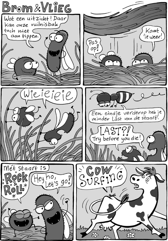 Brom_&_Vlieg_Comic_Nr._1_02