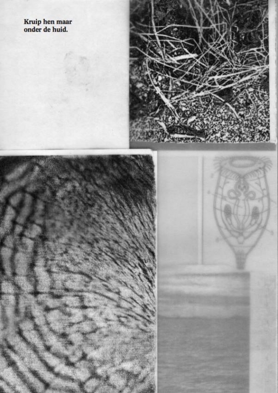 Recensie_A_Shadowgraphic_History_&_Lamaree_05